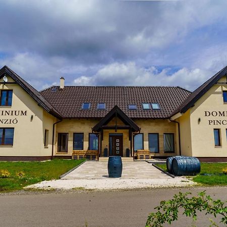 Gyöngyös Dominium Pinceszet Es Panzio B&B 외부 사진