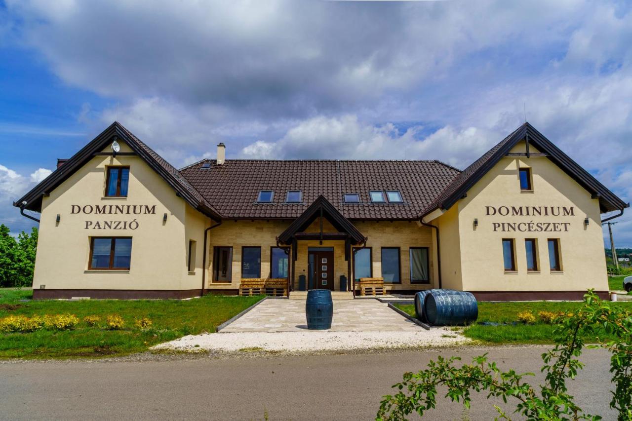 Gyöngyös Dominium Pinceszet Es Panzio B&B 외부 사진