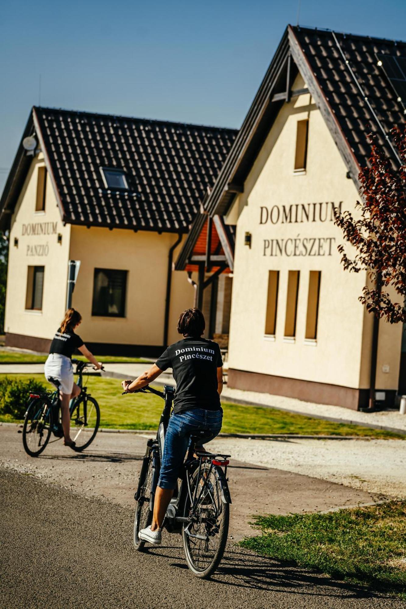 Gyöngyös Dominium Pinceszet Es Panzio B&B 외부 사진